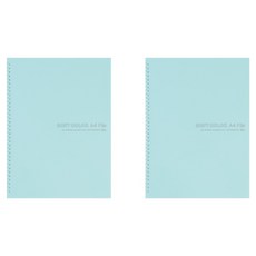 아이비스 컬러 PP 스프링 클리어파일 40, 민트, 2개