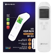 보령 비접촉 체온계 BR-314, 1개