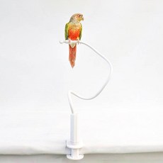 조류용 어디든 함께 집게형 횃대 소형~중소형, 화이트, 1개