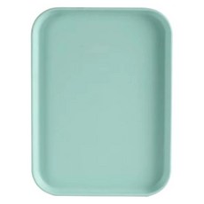 르홈 컬러 다용도 트레이, 라이트그린, 1개