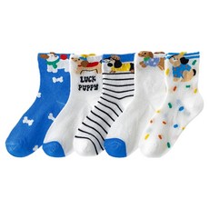 Ggomje 兒童 SH Fundog 36 網眼襪 5雙組