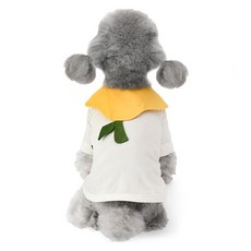 狗狗綠葉幼稚園T恤, 黃色, 1個