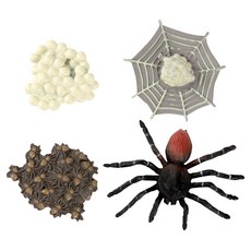 캐스비 네이처 성장과정피규어 거미, 1개