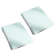 알로데 루스리프 신학기 노트 A4, TYPE02 그린, 2개