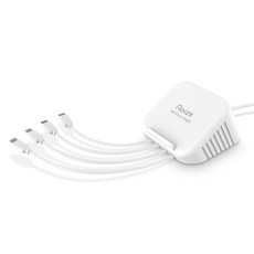 로이직 4포트 고속 멀티충전기 C타입 4p RZ-203, 화이트, 1개 화이트, 1개