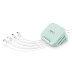 로이직 4포트 고속 멀티충전기 C타입 2p 8핀 2p RZ-203, 민트, 1개