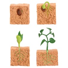 Kes.B 自然植物生長過程公仔套組, 1套