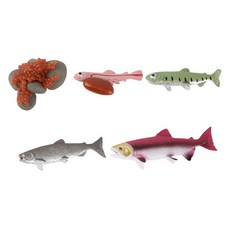 Kes.B 自然生命週期鮭魚公仔套組, 1套