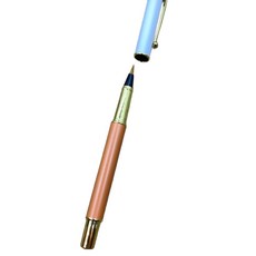 B2WIN 文具毛筆, 橘色單支, 1個