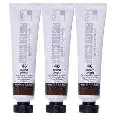 신한화구 전문가 포스터 컬러 튜브형 물감 번트 엄버 색상번호 46번 3p, 40ml, 1색
