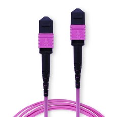 MYBESTFRIEND MPO F to MPO F 12C OM4 光纖跳線 MBF-MPO405, 紫紅色, 5m, 1個
