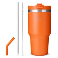 캐리보틀 보온보냉 써밋 텀블러, 탠저린, 600ml, 1개