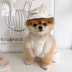 Bonjour Toutou 狗狗 Hi bear 基本款連身衣, Cream, 1個