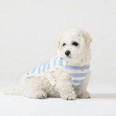 Montier 狗狗柔軟披肩連帽T恤, 天藍色, 1個