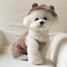 Bonjour Ttuttu 狗狗 Hi bear 基本款連身衣, 1個, Choco