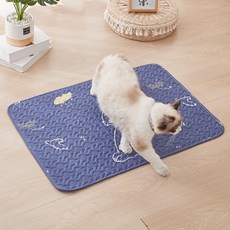 데이소이 고양이 다양한 사계절 방석 매트, 06 하늘, 1개