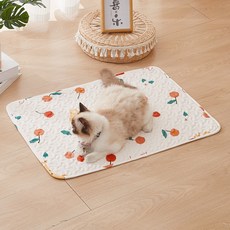 데이소이 고양이 다양한 사계절 방석 매트, 04 작은 사과, 1개