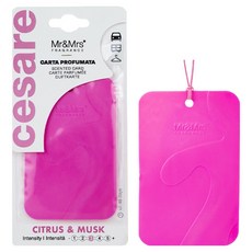 Mr&Mrs FRAGRANCE Cesare 卡片型多功能車用芳香劑, 1個, 柑橘與麝香
