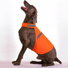 REDPUPPY 狗狗 汪星人 安全背心, 1個, 螢光橘