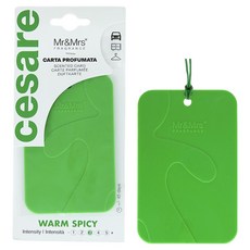 Mr&Mrs FRAGRANCE Cesare 切薩雷卡片型多功能車用芳香劑, 1個, 溫暖辛香