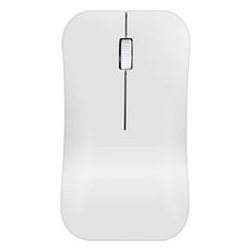 덴코 C타입 리시버 저소음 무선 마우스, 화이트, FG-WM5000