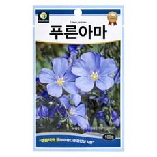 다농 푸른아마 씨앗 100p, 1개