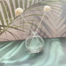 픽스9 디퓨저 공병 G, 1개, 250ml