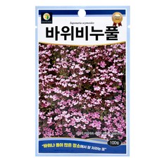 다농 바위비누풀 씨앗 100p, 1개