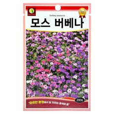 다농 모스 버베나 씨앗 200p, 1개