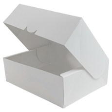 掀蓋式長方形一鍵盒 小 21 x 15 x 5.6 cm, 白色, 25個