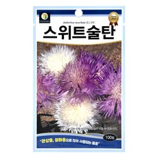 다농 스위트술탄 씨앗 100p, 1개
