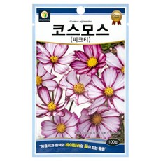 다농 코스모스 피코티 씨앗 100p, 1개