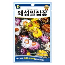 다농 왜성밀집꽃 씨앗 200p, 1개