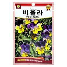다농 비올라 헬렌마운트 씨앗 300p, 1개