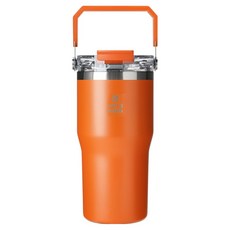 캐리보틀 듀얼플로우 탑핸들 텀블러, 탠저린, 630ml, 1개