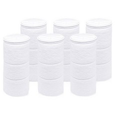 필터클래스 닥터피엘 오리지널 주방핸디형 호환 염소필터, 6개, 무향