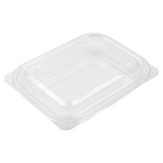 Inp 方形沙拉容器 透明 17.5 x 13.5 x 3 cm 250ml SK-203, 1入, 50個