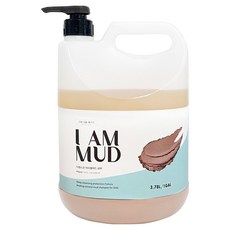 디얼스코 강아지 아이엠머드 샴푸 아쿠아향, 3.78L, 1개