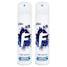 신신파스 F 뿌리는 스프레이 파스 300ml, 1개입, 2개