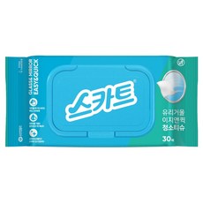 스카트 유리거울 이지앤퀵 청소티슈 30p, 1개