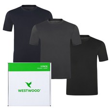 WESTWOOD 男款 C Base 圓領短袖 T恤 3件組 WP2MTCT773