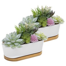 Milda 多肉植物花盆 2入, 2個