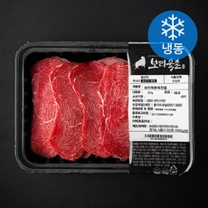 보리육촌 국내산 소고기 육전용 (냉동), 1개, 300g