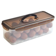 팬톤홈퍼니싱 대용량 업소용 플라스틱 밀폐용기 정석, 1개, 4.2L