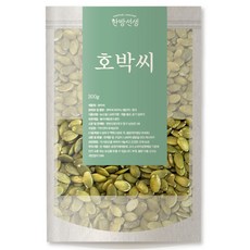 한방선생 호박씨 특품, 300g, 1개