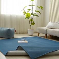 BLEDIK HOME NewJeans 四季可水洗地毯