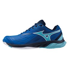 Mizuno 美津濃 WAVE FANG 2 男羽球鞋 71GA231301