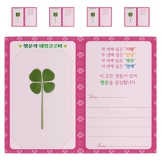 幸運符號 幸運四葉草真花護貝卡片 5入 + 可愛迷你折疊卡片 5入組, 1套, 透明(護貝卡片), 混合顏色(折疊卡片)