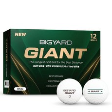 BIGYARD Giant 高反發高爾夫球 3層 42.7mm, 12入, 白色, 1個