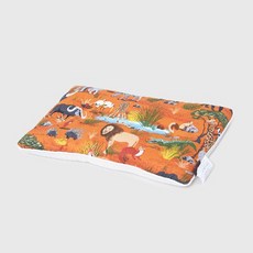 elim korea 低款涼感兒童枕頭, 非洲